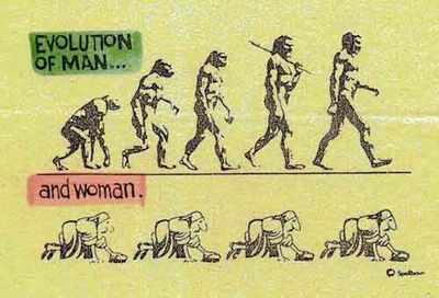 evolucia.jpg