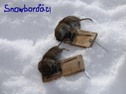 snowbor__cilittle.png