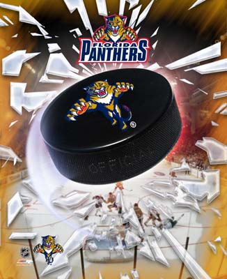 Florida Panthers.jpg