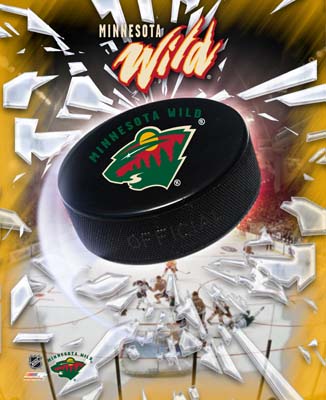 Minnesota Wild.jpg